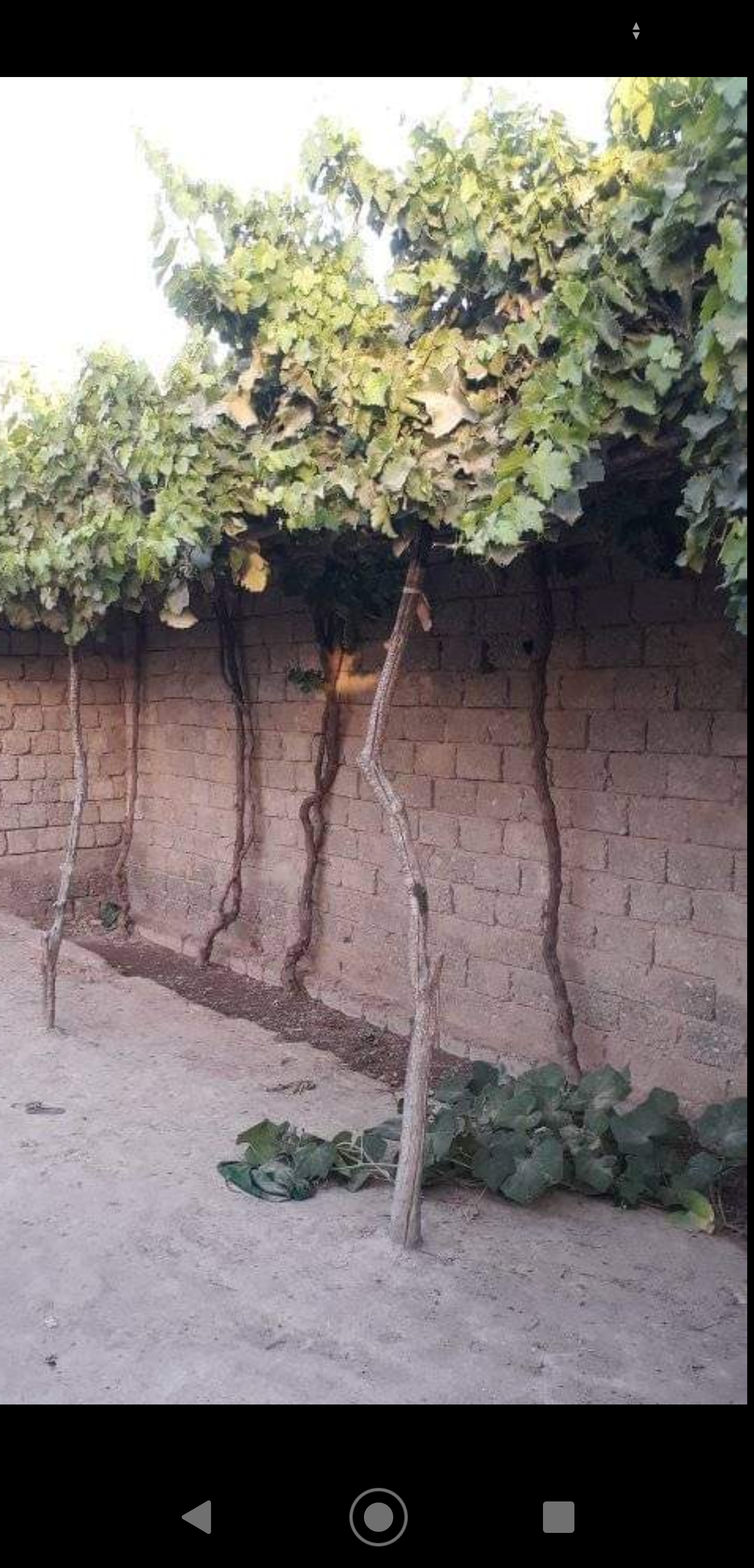 تصویر نمایش داده نشد