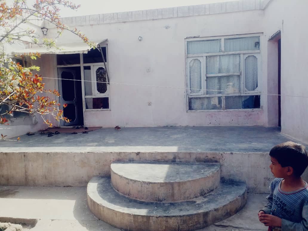 تصویر نمایش داده نشد