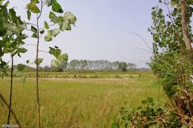 تصویر نمایش داده نشد