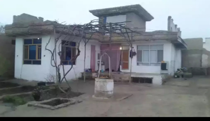 تصویر نمایش داده نشد