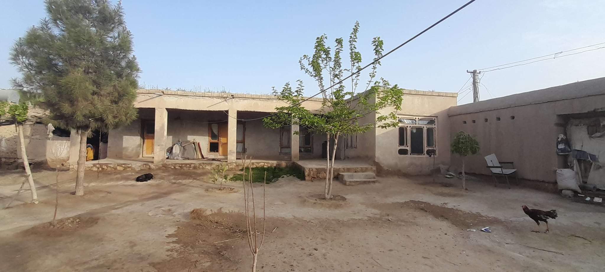 تصویر نمایش داده نشد