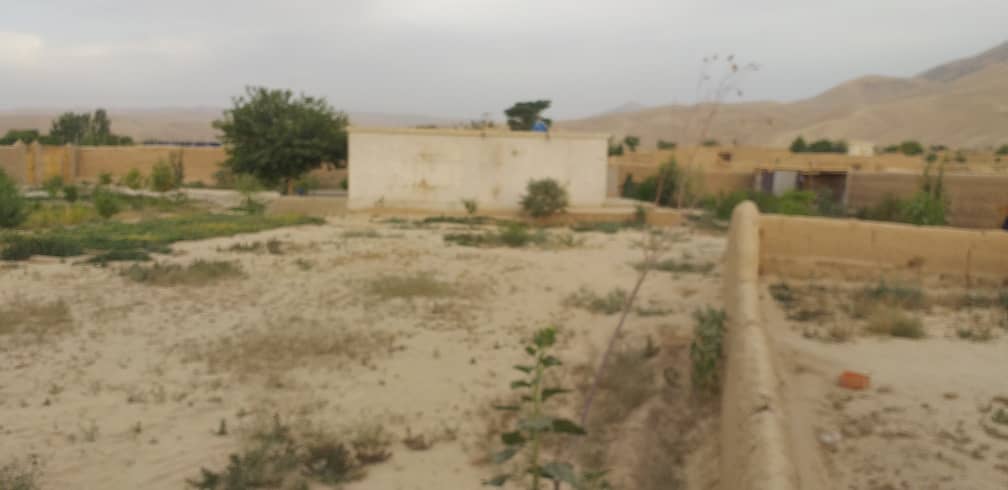 تصویر نمایش داده نشد