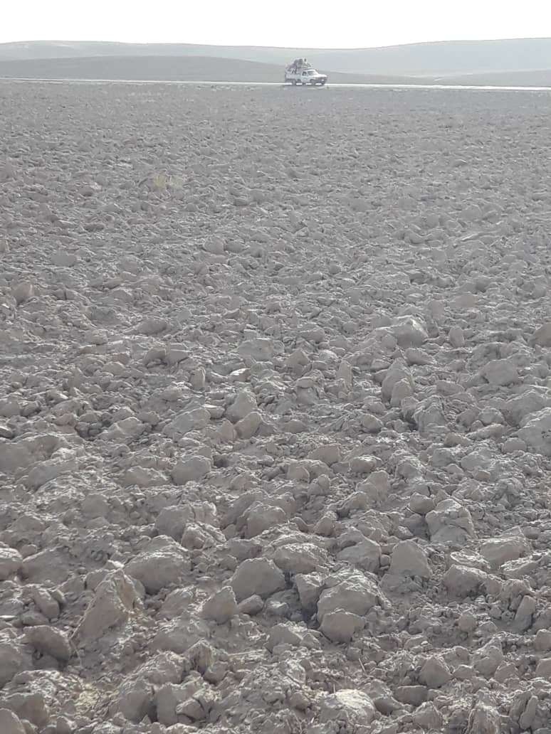 تصویر نمایش داده نشد