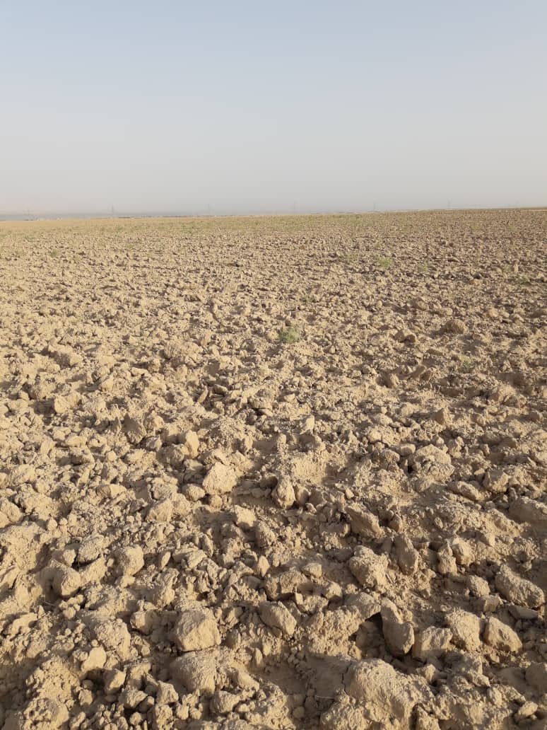 تصویر نمایش داده نشد