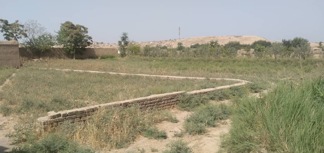 تصویر نمایش داده نشد