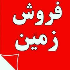 تصویر نمایش داده نشد
