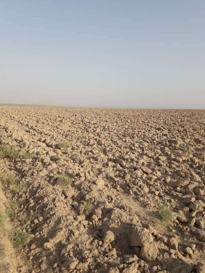 تصویر نمایش داده نشد