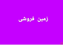 تصویر نمایش داده نشد