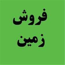 تصویر نمایش داده نشد