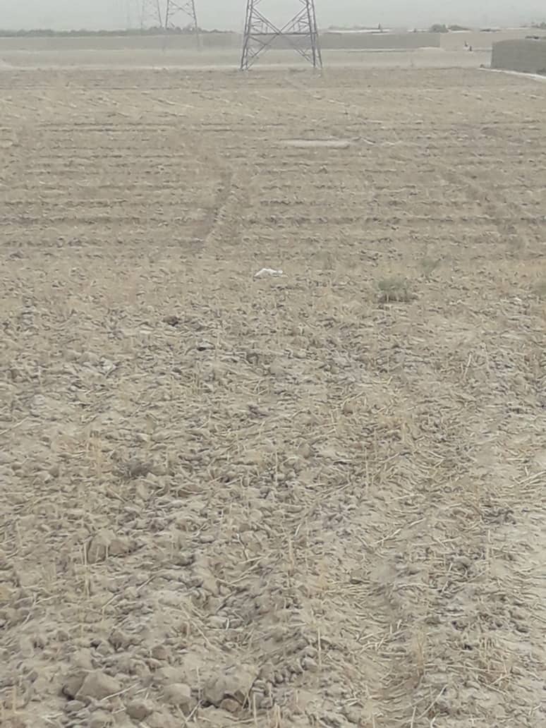 تصویر نمایش داده نشد