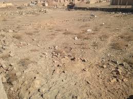 تصویر نمایش داده نشد