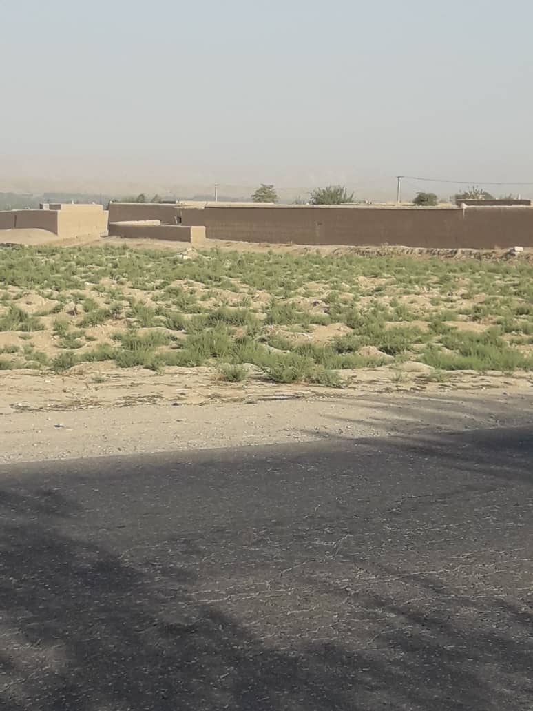 تصویر نمایش داده نشد