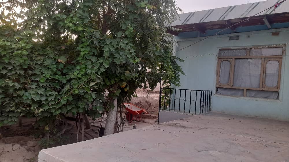 تصویر نمایش داده نشد