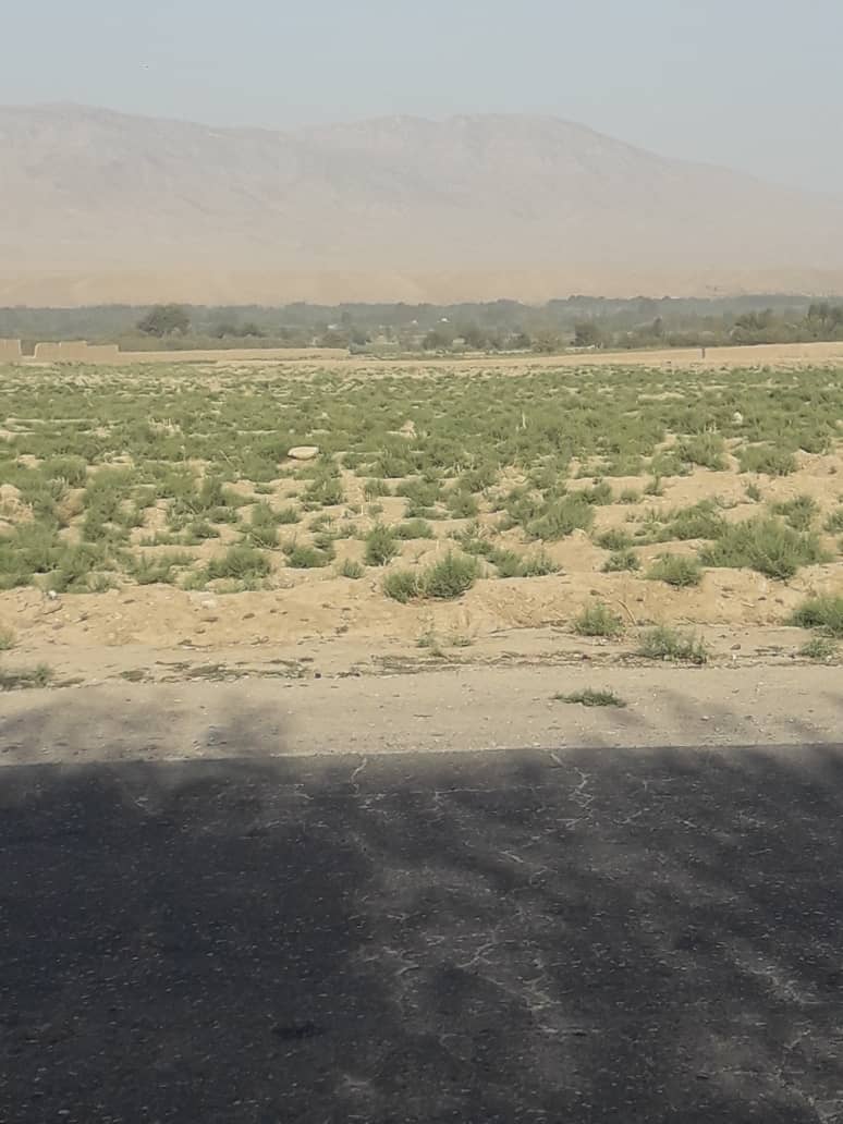تصویر نمایش داده نشد