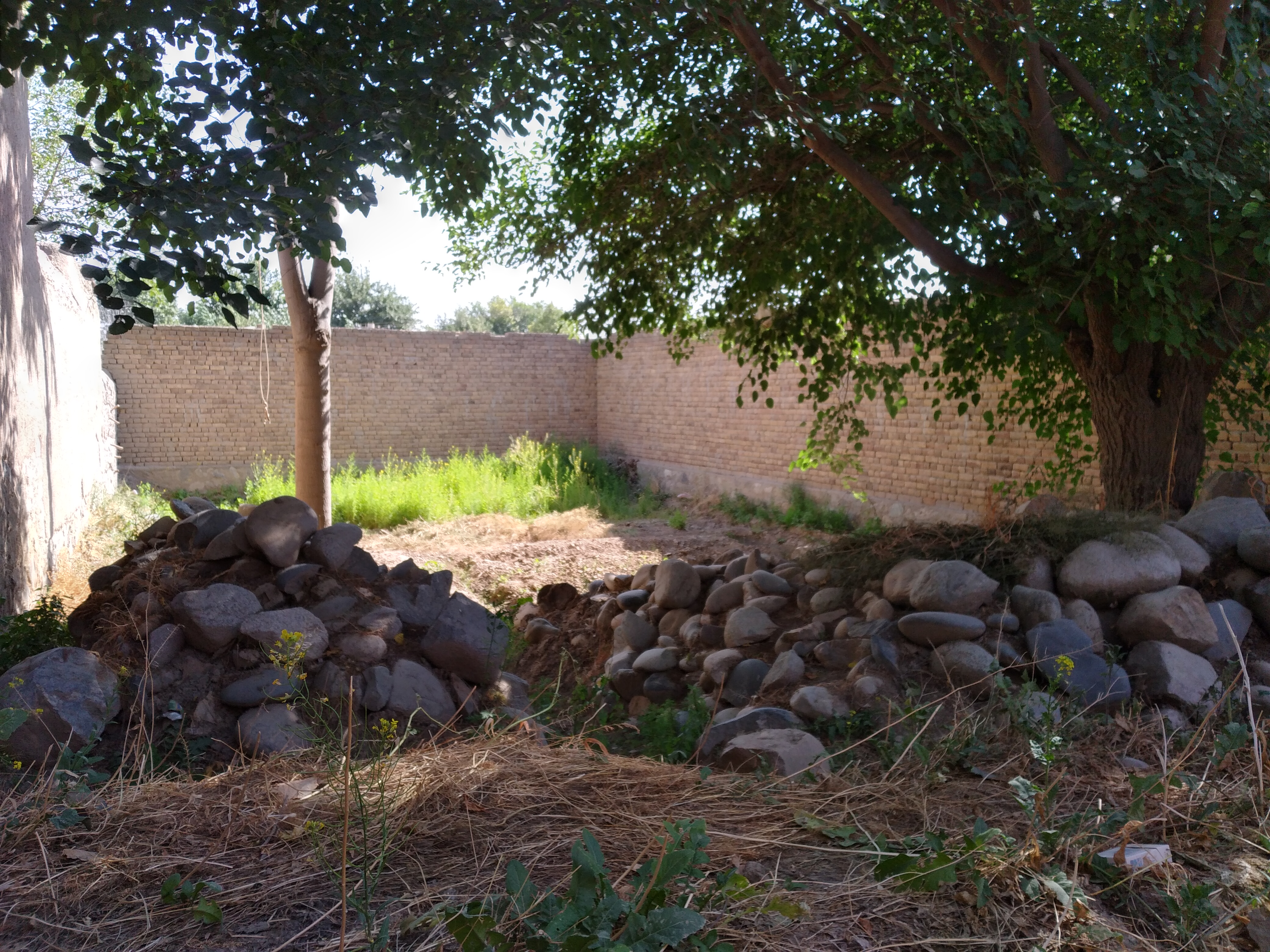 تصویر نمایش داده نشد