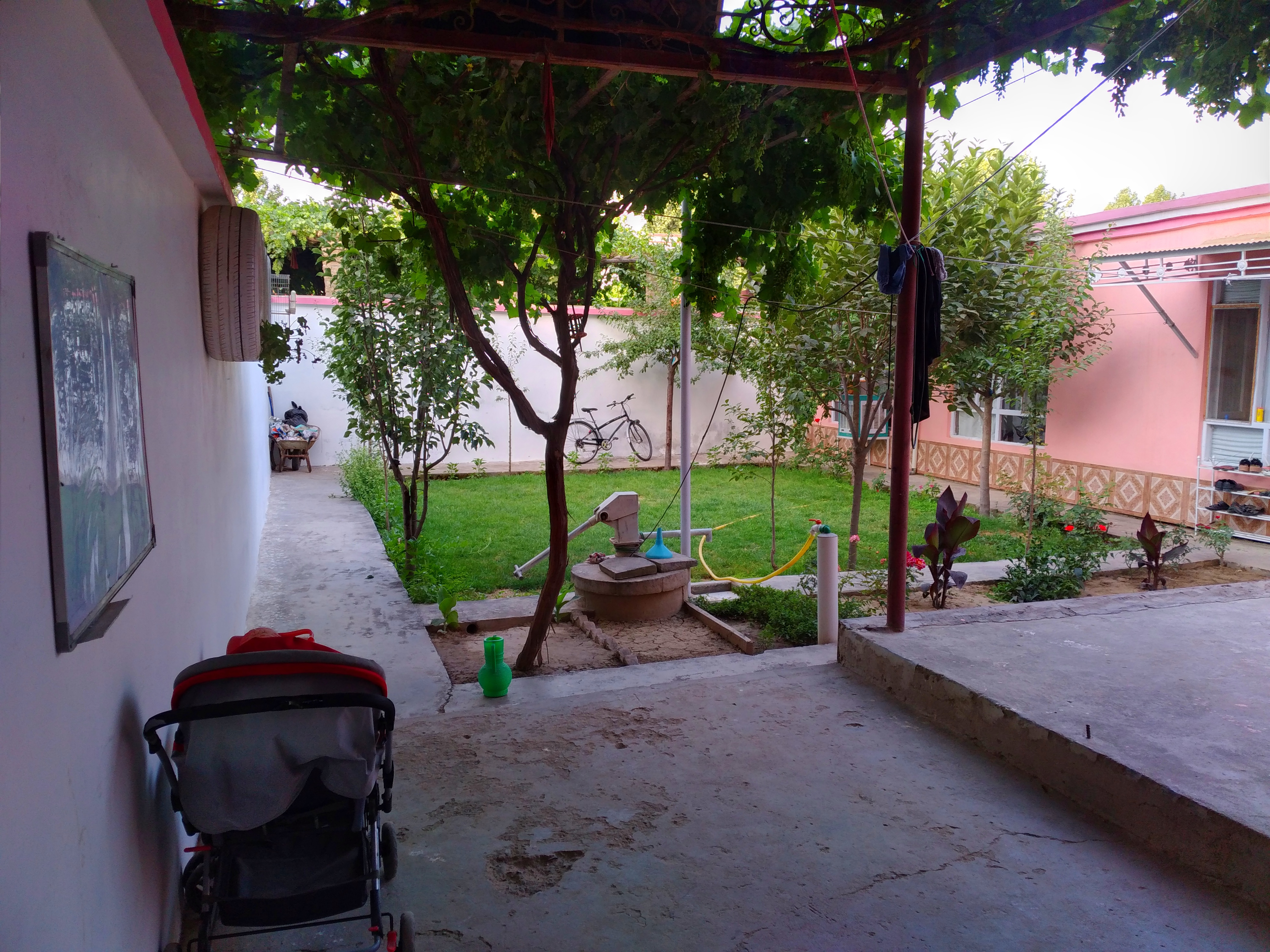 تصویر نمایش داده نشد