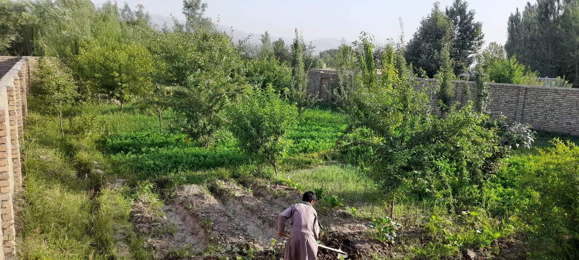تصویر نمایش داده نشد